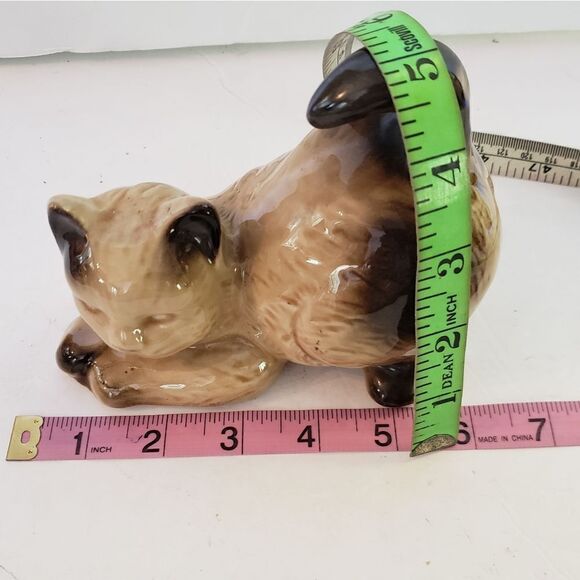 Playful Cat - Picture 10 of 10